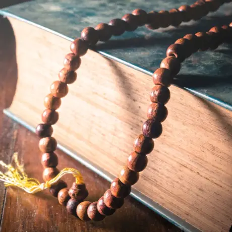 What_is_the_Vedic_tradition-64af474f076e6a6549af1abd8183f633