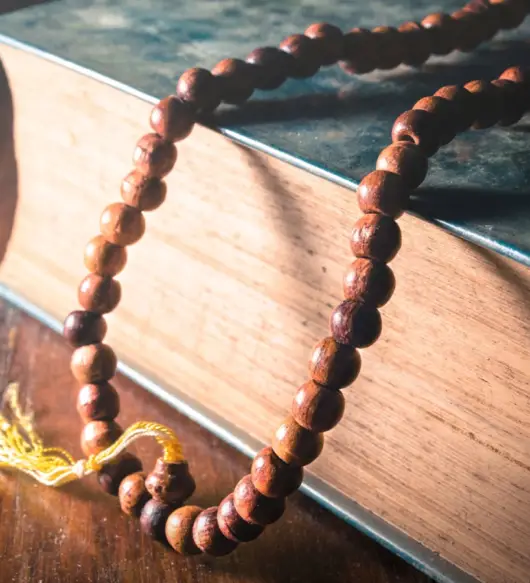 What_is_the_Vedic_tradition-64af474f076e6a6549af1abd8183f633