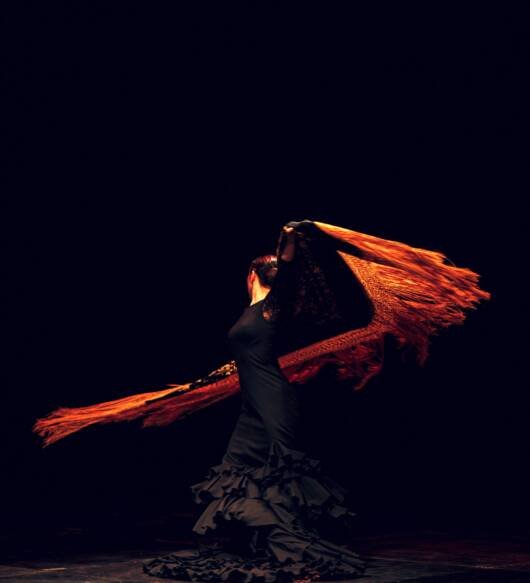 Flamenco dancer in traditional costume. Flamenco spanish dance on stage