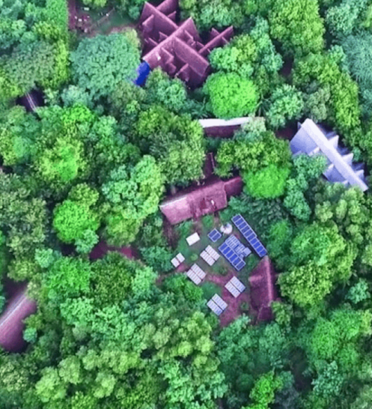 sadhana-forest-auroville-india