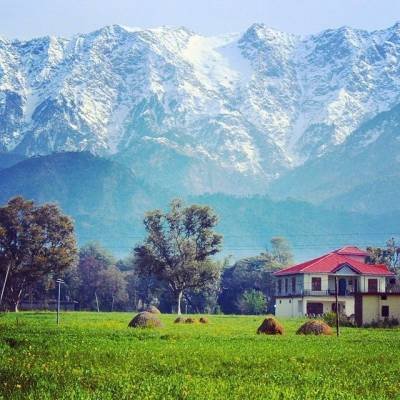 Rait Village, Himachal Pradesh