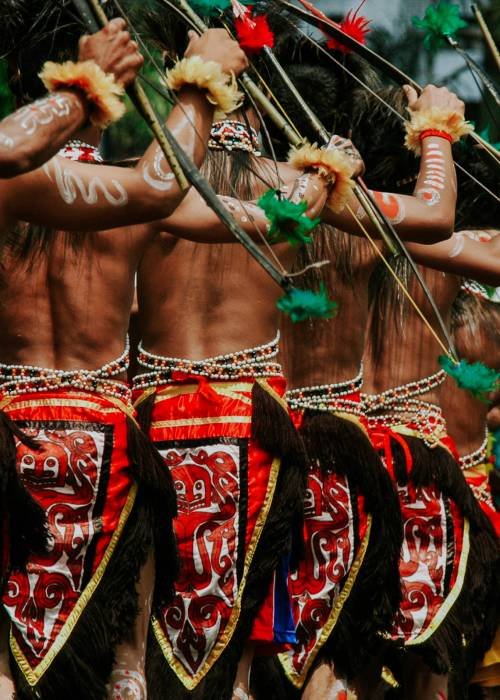Papua men using traditional cloth Papua Festival performing the men use traditional cloth and hold arrows