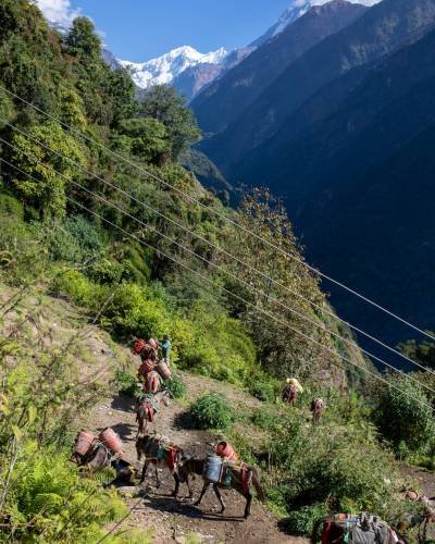 trekkers-potters-way-annapurna-base-camp trekkers-potters-way-annapurna-base-camp